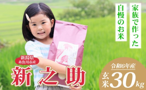 令和6年産 新之助 玄米 30kg （精米サービス可能）【新潟県産 農家直送 新之助 2024年産 プロが認めた美味しいお米 百姓や伝六 美味しい 農家自慢 お米 白米 おにぎり お弁当 新潟米】 2441445 - 新潟県糸魚川市