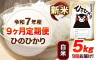 新米 令和7年産 【9ヶ月定期便】 白米 ひのひかり 5kg 《お申し込み月の翌月から出荷開始》 熊本県産 無洗米 白米 精米 ひの 送料無料 熊本県 山江村 SDGs むせんまい 米 コメ こめ 国産