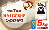 新米 令和7年産 【9ヶ月定期便】 無洗米 ひのひかり 5kg 《お申し込み月の翌月から出荷開始》 熊本県産 無洗米 白米 精米 ひの 送料無料 熊本県 山江村 SDGs むせんまい 米 コメ こめ 国産