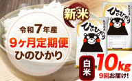 新米 令和7年産 【9ヶ月定期便】 白米 ひのひかり 10kg 《お申し込み月の翌月から出荷開始》 熊本県産 無洗米 白米 精米 ひの 送料無料 熊本県 山江村 SDGs むせんまい 米 コメ こめ 国産