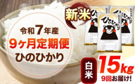 新米 令和7年産 【9ヶ月定期便】 白米 ひのひかり 15kg 《お申し込み月の翌月から出荷開始》 熊本県産 無洗米 白米 精米 ひの 送料無料 熊本県 山江村 SDGs むせんまい 米 コメ こめ 国産