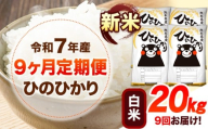 新米 令和7年産 【9ヶ月定期便】 白米 ひのひかり 20kg 《お申し込み月の翌月から出荷開始》 熊本県産 無洗米 白米 精米 ひの 送料無料 熊本県 山江村 SDGs むせんまい 米 コメ こめ 国産