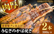 【選べる本数】鰻のかば焼き2本 鰻 うなぎ ウナギ かば焼き 土用の丑の日 小分け 惣菜 人気 おすすめ 島根県雲南市/有限会社田丸屋魚店 [AIEH005]