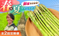 【全2回定期便】【先行予約】【2026年4月以降発送】春＆夏アスパラガス 各1kg 島根県雲南市/tasten 野菜 アスパラ 数量限定 20個 [AIEJ002]