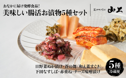 【お漬物セット】おなかに届け発酵食品！美味しい腸活お漬物5種セット／日野菜ぬか漬け・蒼の舞(和え菜すぐき)・下田なすしば・赤重ね・チーズ味噌漬け 2442139 - 滋賀県湖南市