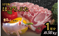 1頭分お届け　千葉県産 下山農場 SPF豚 「 ほころぶた 」 ／ SPF豚 豚肉 ほころぶた 1頭分 バラ ロース 肩ロース ヒレ うで もも