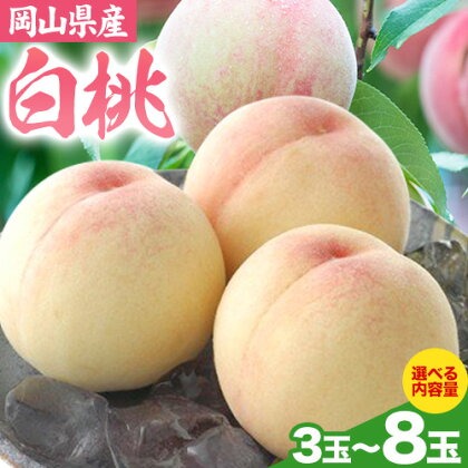 【先行予約】岡山県産 白桃 選べる 内容量 3玉（約800g） 5玉（約1.3kg） 8玉（約2.0kg） クール便 晴れの国 おかやま館(フルーツランド岡山) 《7月中旬-7月下旬頃出荷》岡山県 浅口市 白桃 桃【配送不可地域あり】（離島） 2442282 - 岡山県浅口市
