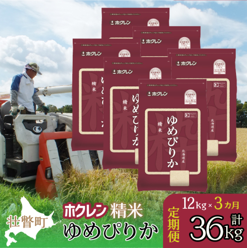 【令和7年産米】【3ヶ月定期配送】（精米12kg）ホクレンゆめぴりか（2kg×6袋） SBTD169 2442306 - 北海道壮瞥町
