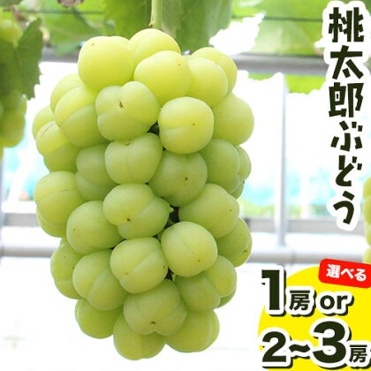 【先行予約】選べる 岡山県産 桃太郎ぶどう1房 約500gor 約1.3kg 2-3房《9月上旬-9月下旬頃出荷》晴れの国 おかやま館(フルーツランド岡山) 岡山県 浅口市 フルーツ 果物 青果 旬 葡萄 ぶどう【配送不可地域あり】（離島） 2442307 - 岡山県浅口市