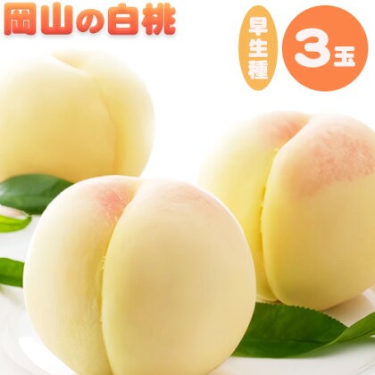 【先行予約】 岡山の白桃 早生種 3玉 約840g 晴れの国 おかやま館(つむぐ株式会社) 《6月下旬-7月中旬頃出荷》岡山県 浅口市 フルーツ モモ 果物 青果 旬【配送不可地域あり】（離島）
 2442314 - 岡山県浅口市