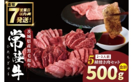 常陸牛5種焼肉セット希少部位入り　(２~３人前 500g）【常陸牛 国産牛 和牛 牛肉 切り落とし 焼肉セット 希少部位   茨城県 水戸市】（NW-12）