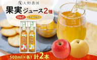 果実ジュース500ml2本セット2種  梨 りんご 果物 フルーツ ジュース お取り寄せ 贅沢 贈答 ギフト 福島県 石川町【19020】