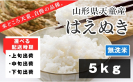 07-01-192-01A　はえぬき 無洗米5kg　[2026年1月上旬発送・令和7年産]