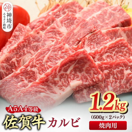 【スピード発送】佐賀牛 カルビ 焼肉用 1.2kg(600g×2)【A4～A5ランク】【希少 国産和牛 牛肉 肉 牛 焼肉】(H085207) 2442603 - 佐賀県神埼市