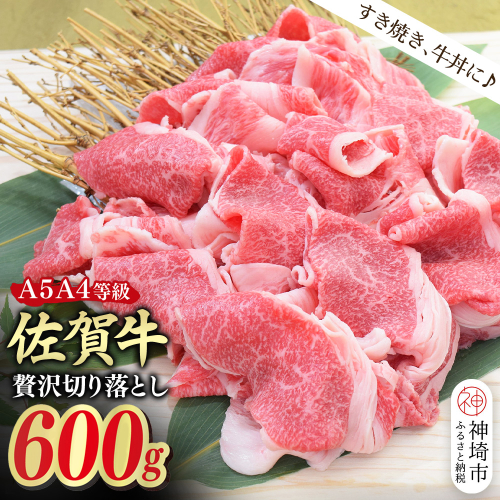 佐賀牛 贅沢 切り落とし 600g【A4～A5ランク】【すき焼き しゃぶしゃぶ 牛丼 A5 A4 希少 国産和牛 牛肉 肉 牛】(H085208) 2442634 - 佐賀県神埼市