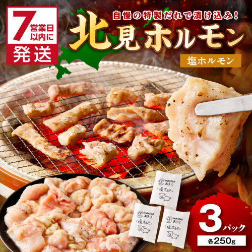 《7営業日以内に発送》北見塩ホルモン 250g×3パック ( 焼肉 ホルモン 肉 にく 塩 )【205-0002】 2442676 - 北海道北見市