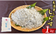 しらす干し 1kg ふっくら しらす 九十九里産 シラス 天日干し 天日干ししらす 九十九里 魚介類 無添加 魚介 海の幸 海 魚 海産物 ご飯のお供 晩ごはん 惣菜 おつまみ おかず 贈答 ギフト プレゼント 冷凍 冷凍便 贈答 記念日 お祝い 送料無料 千葉県 旭市 有限会社鎌倉商店 kms002