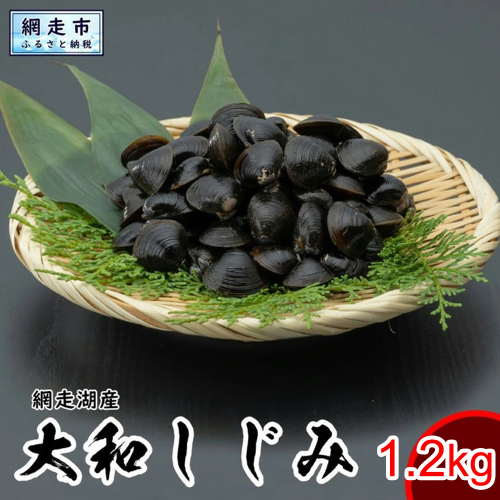 網走湖産 天然大粒 大和しじみ 1.2kg ※着日指定不可 ABX072 2442806 - 北海道網走市