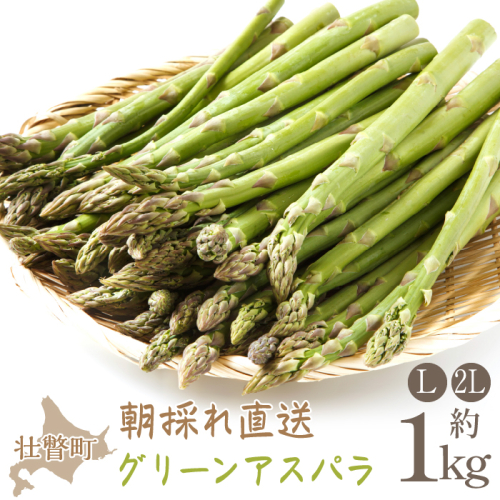 ＜2026年5月中・下旬よりお届け＞北海道壮瞥産「ファーム横山」朝採れ直送　グリーンアスパラ約1kg（L・2L混合） SBTM008 2442915 - 北海道壮瞥町