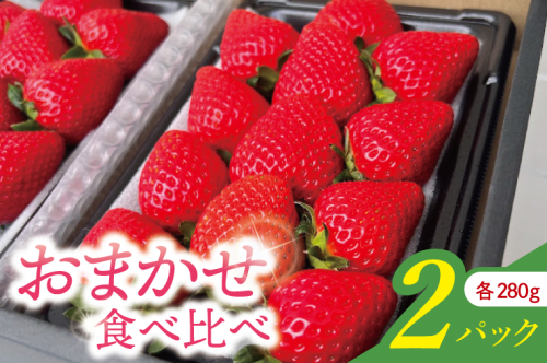 おまかせ食べ比べ2パック【埼玉県 春日部 いちご 2種食べ比べ フルーツ 贈答用】（DI003） 2442918 - 埼玉県春日部市