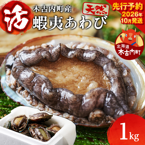 【2026年10月以降発送】活あわび1kg　木古内産　 2443000 - 北海道木古内町
