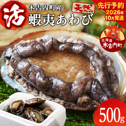 【2026年10月以降発送】活あわび500ｇ　木古内産　 2443018 - 北海道木古内町