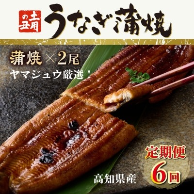【6回定期便】ヤマジュウ厳選! 国産 ウナギ 蒲焼き 2尾(1尾あたり約160g～170g)×6回 6ヶ月 タレ付き 鰻 うなぎ かば焼き 加工品 魚 魚介類 高知県産 冷凍 送料無料 頒布会 2443073 - 高知県室戸市