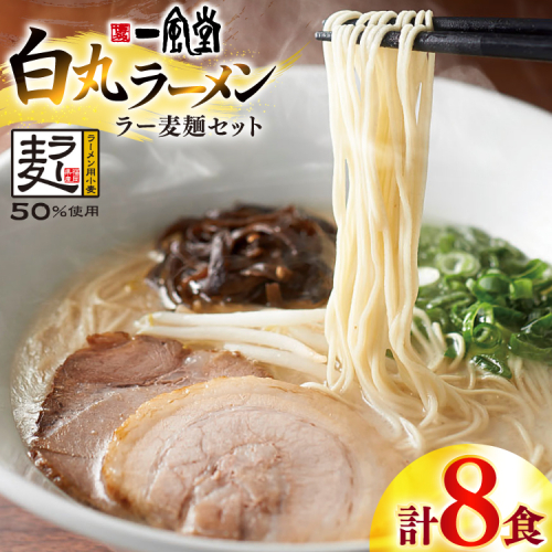 ラーメン 一風堂 白丸 ラー麦麺 セット 計8食 [地域商社ふるさぽ 福岡県 宇美町 um40bfw220009] らーめん 豚骨 とんこつ 博多ラーメン 豚骨ラーメン 詰め合わせ 2443239 - 福岡県宇美町