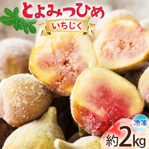 いちじく 冷凍 とよみつひめ 約1kg 2袋 計約2kg [地域商社ふるさぽ 福岡県 宇美町 um40bfw220007] フルーツ 果物 イチジク くだもの 無花果 ジャム シャーベット スムージー 2443430 - 福岡県宇美町
