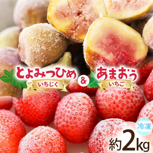 フルーツ 冷凍 あまおう ＆ 冷凍 よみつひめ セット 計約2kg [地域商社ふるさぽ 福岡県 宇美町 um40bfw220006] いちご いちじく 果物 イチゴ 苺 イチジク 無花果 くだもの ジャム シャーベット スムージー 詰め合わせ 2443435 - 福岡県宇美町