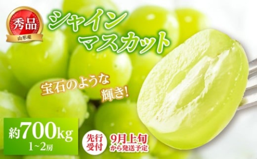 《先行受付》★山形産シャインマスカット★約700g以上(1～2房)秀品【2026年9月頃～順次発送予定】 【063-014】 2443876 - 山形県大江町