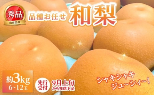《先行受付》★山形産和梨（品種お任せ）★約3kg(6～12玉程度)秀品【2026年9月頃～順次発送予定】 【063-015】 2443877 - 山形県大江町