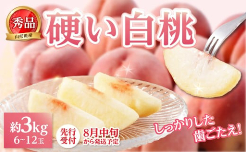 《先行受付》★硬い白桃（品種おまかせ）★約3kg(6～12玉程度)秀品【2026年8月中旬頃～順次発送予定】 【063-016】 2443878 - 山形県大江町