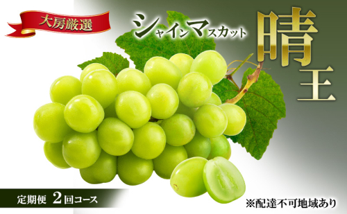 【2026年先行予約】晴れの国 大房厳選 シャインマスカット 晴王 夏秋 定期便 2回 コース《2026年6月中旬-10月上旬頃出荷》  ブドウ 果物 マスカット 岡山 里庄 数量限定 2444205 - 岡山県里庄町