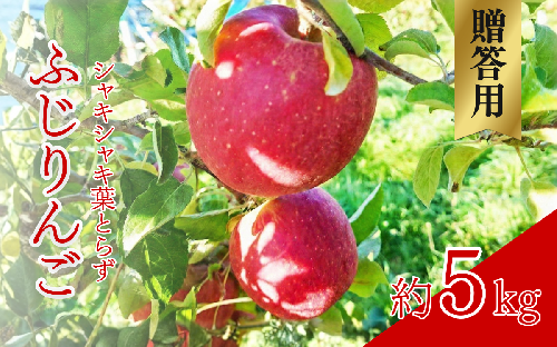 シャキシャキ葉とらず ふじりんご 約5kg 特別栽培農産物 長野県産 りんご リンゴ フルーツ 果物 おやつ デザート 信州 上田 贈答用 2444209 - 長野県上田市
