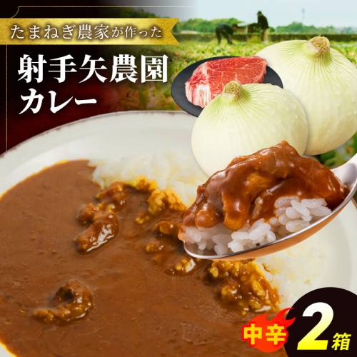 射手矢農園 特製カレー 2箱【本格スパイス たまねぎ なにわ黒牛 時短 冷凍カレー 冷凍食品 保存食 常備食 ピリ辛】 G3705 2444236 - 大阪府泉佐野市
