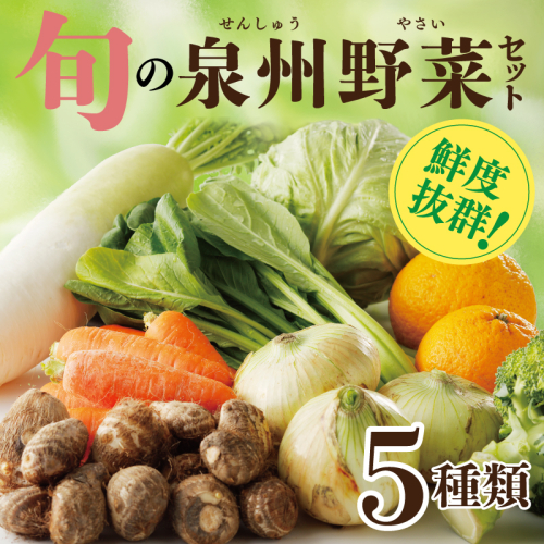 旬の野菜セット 詰め合わせ 5種類 国産 新鮮 お試し おまかせ お楽しみ 099H4172 2444263 - 大阪府泉佐野市