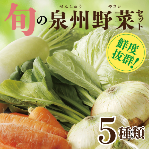旬の野菜セット 詰め合わせ 5種類 国産 新鮮 お試し おまかせ お楽しみ 099H4172 2444263 - 大阪府泉佐野市