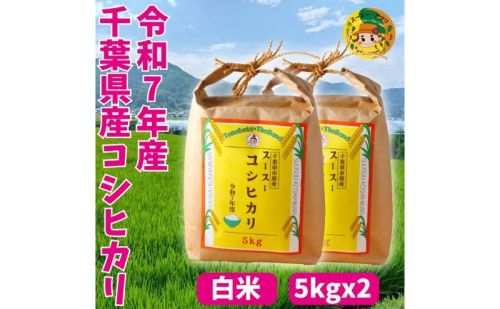 お米 千葉県市原市 スースーコシヒカリ 10kg (5kgx2) 米 コメ 白米 コシヒカリ こしひかり ふっくら 甘み 上品な香り 冷めても美味しい 市原市 千葉県 2444281 - 千葉県市原市