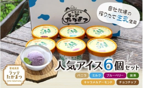 ラッテたかまつ 人気アイス 6個セット ／葛城 高原 牧場 ラッテのアイス【latt024】 2444304 - 奈良県葛城市