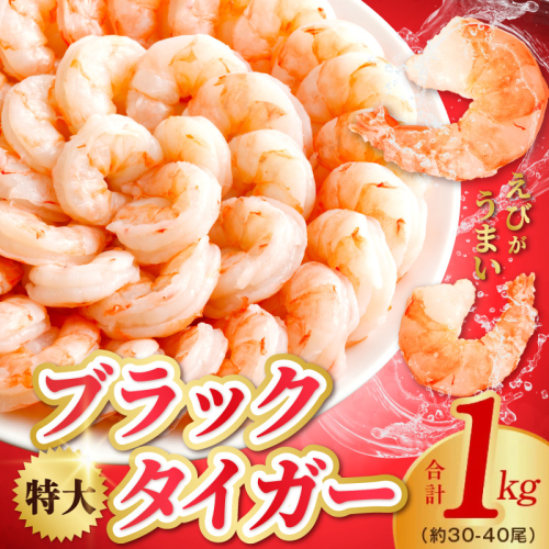 【定期便】高級ブラックタイガー 1kg【特大 30-40尾 背ワタなし 下処理不要  えび 海老 訳あり サイズ不揃い バラ凍結 2026年2月＆5月発送 全2回】 kgpZ009 2444390 - 大阪府泉佐野市