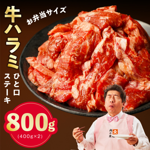 【お弁当サイズ】牛ハラミ ひと口ステーキ 800g【氷温熟成×旨味付け 小分け 400g×2P 味付き 訳あり 不揃い バラ凍結】 mrz0370 2444394 - 大阪府泉佐野市