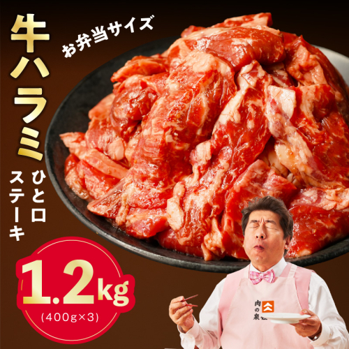 【お弁当サイズ】牛ハラミ ひと口ステーキ 1.2kg【氷温熟成×旨味付け 小分け 400g×3P 味付き 訳あり 不揃い バラ凍結】 mrz0371 2444395 - 大阪府泉佐野市