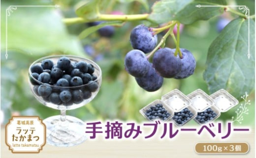 手摘みブルーベリー 7月末頃～8月末頃 100g×3個 ／ 葛城 高原 牧場 【latt029】 2444399 - 奈良県葛城市