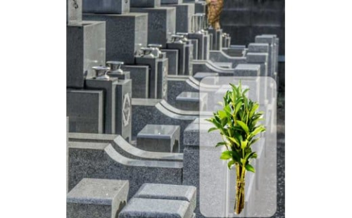 ［全12回］ お墓掃除定期便＋しきみ１対 2444431 - 和歌山県那智勝浦町