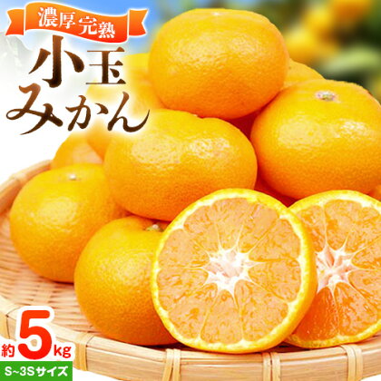 【先行予約】みかん 紀州有田産 濃厚完熟 小玉みかん 約5kg S～3Sサイズ 魚鶴商店《2026年11月下旬-12月下旬頃出荷》 和歌山県 日高町 みかん 小玉みかん 完熟 濃厚 柑橘 小玉 小さい 2444436 - 和歌山県日高町