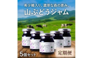 ＜毎月定期便＞希少糖入り・山ぶどうジャム 5個全3回【4078854】