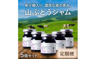 ＜毎月定期便＞希少糖入り・山ぶどうジャム 5個全5回【4078856】