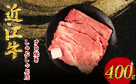 近江牛 すき焼き しゃぶしゃぶ 400g 近江日野牛 完熟近江牛 牛肉 高級 最高級 最上級 ブランド 和牛 近江牛 国産牛 薄切り スライス 霜降り 肉 お肉 おにく にく 鍋 なべ 特別感 ごほうび とろける 近江 牛 松阪牛 神戸牛 に並ぶ 日本三大和牛 長期肥育 生体熟成 熟成 贈答 プレゼント お取り寄せ 滋賀県 日野町 岡﨑 岡﨑精肉店 岡崎 牧場 ふるさと納税