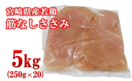 宮崎県産若鶏 筋なしささみ 5kg 小分け 250ｇ×20パック  ＜2.3-4＞鶏肉 ササミ 真空パック